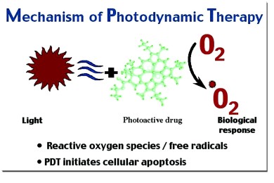 Photodynamic Therapy ⁄ Healing Cancer with Alternative Methods